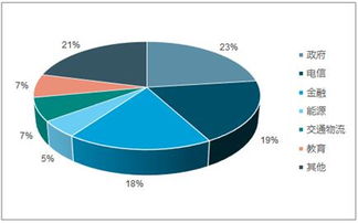 2019-2025年中国互联网信息安全市场分析预测及投资战略研究报告 网络与信息安全软件开发