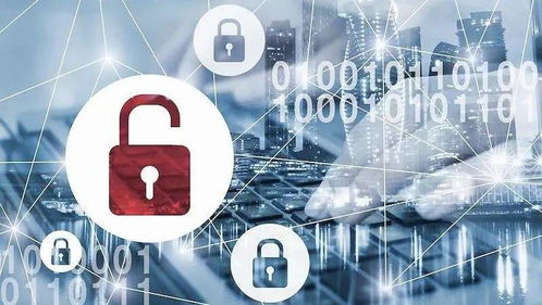 展望全球高校信息安全四大趋势 从课程体系到产业融合的变革之路